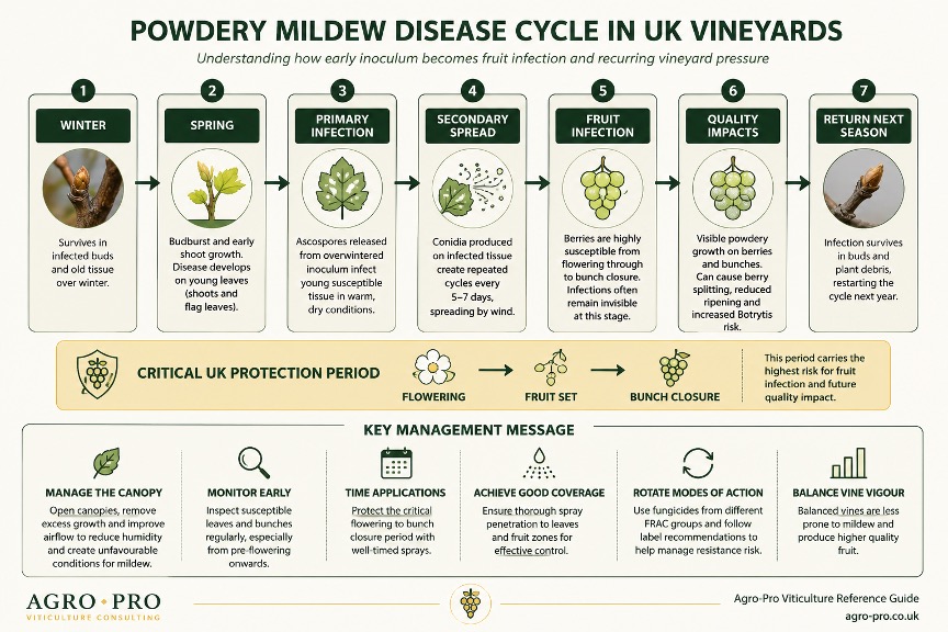 Powdery Mildew chart